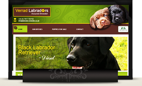 Ferrad Kennel