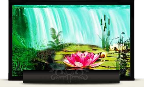 Graphic Design Doncaster
