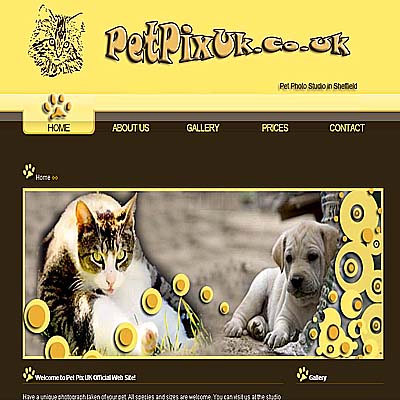 web design bawtry