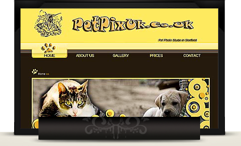Pets Photography